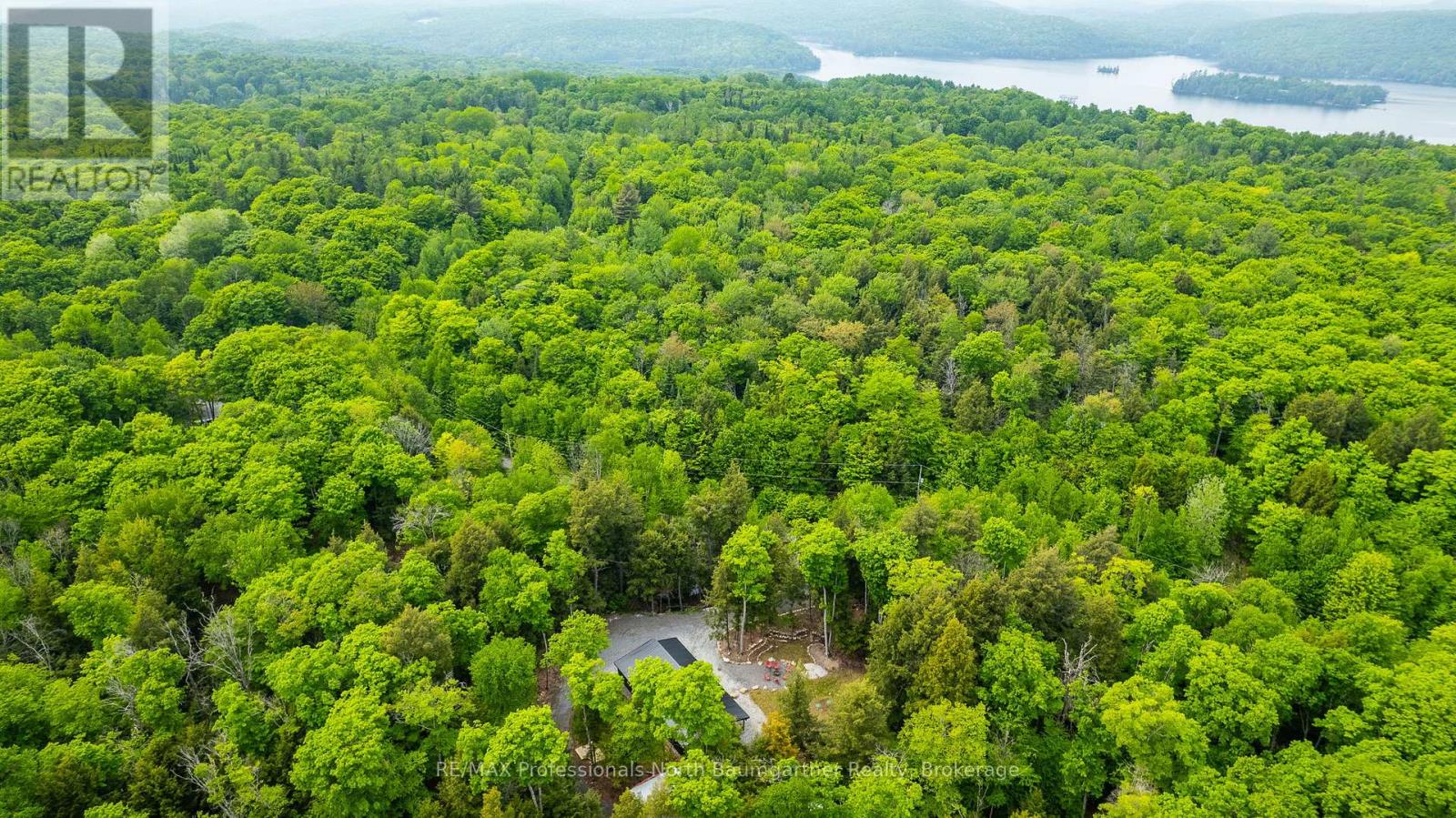 1323 Basshaunt Lake Rd, Dysart Et Al (Guilford), Ontario  K0M 1M0 - Photo 32 - X12095585