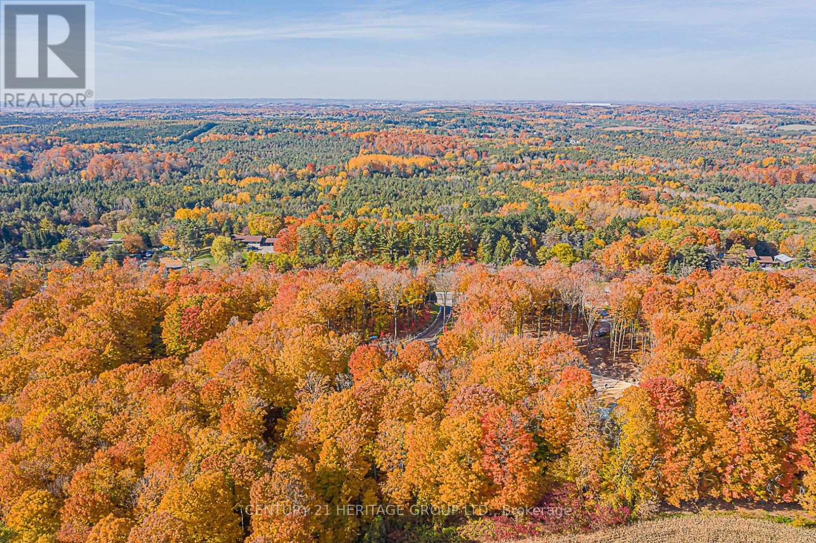 17657 Highway 48, East Gwillimbury, Ontario  L0G 1E0 - Photo 5 - N12095413