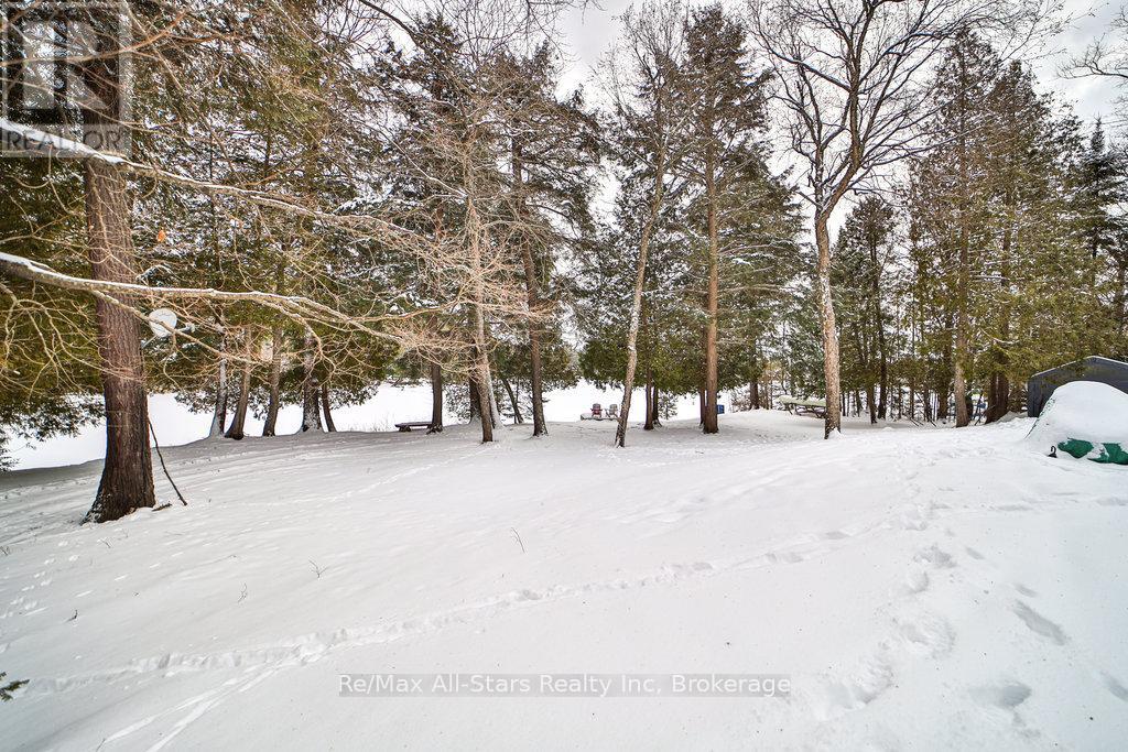1058 Algonquin Outfitters Road, Algonquin Highlands, Ontario  P0A 1H0 - Photo 5 - X11901323