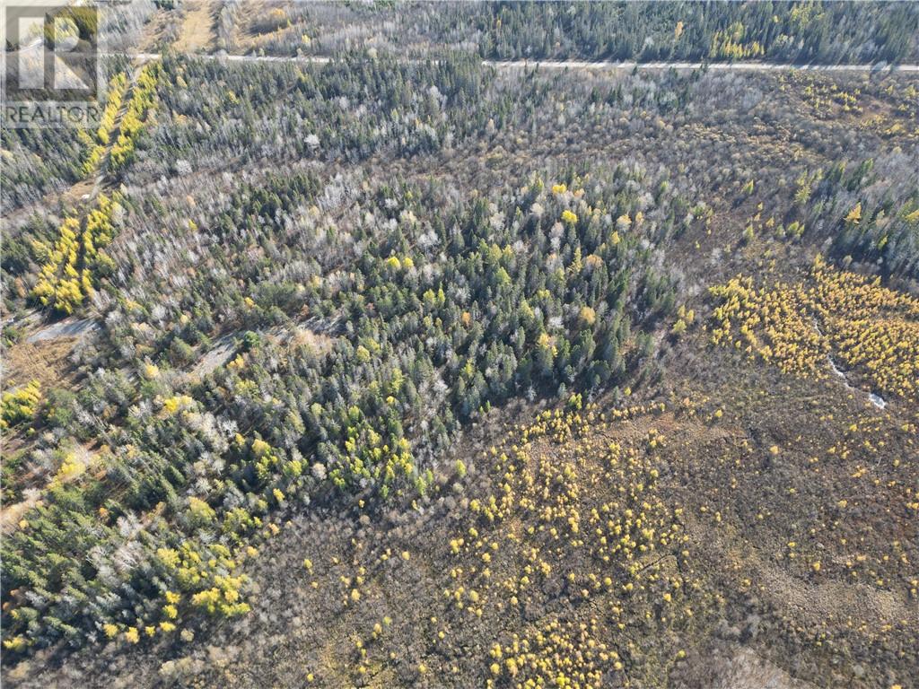 Lt 3 Con 1 Lumsden Road, Greater Sudbury, Ontario  P0M 1L0 - Photo 6 - 2121744