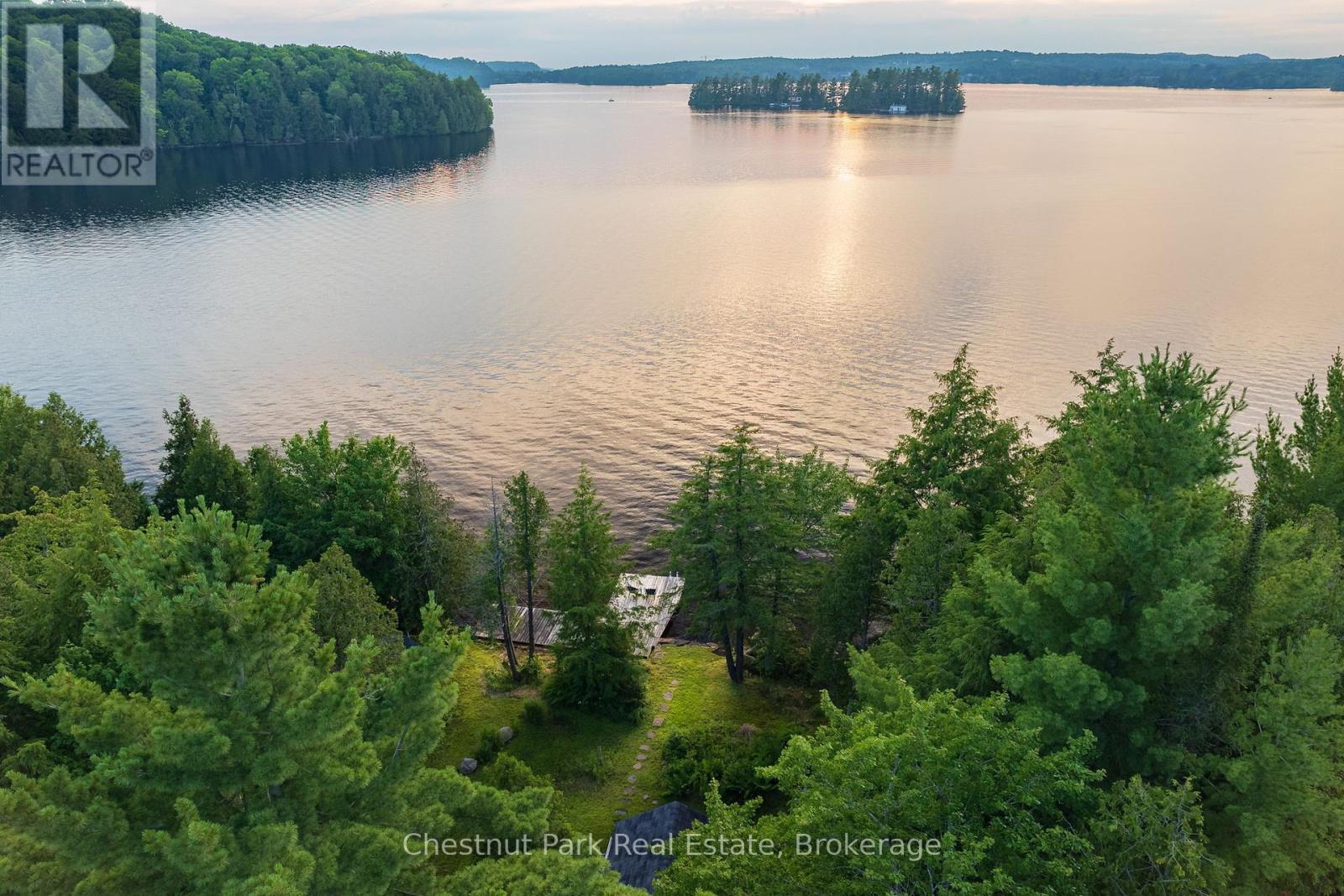 464 Springfield Road, Huntsville, Ontario  P1H 2J3 - Photo 37 - X12095639