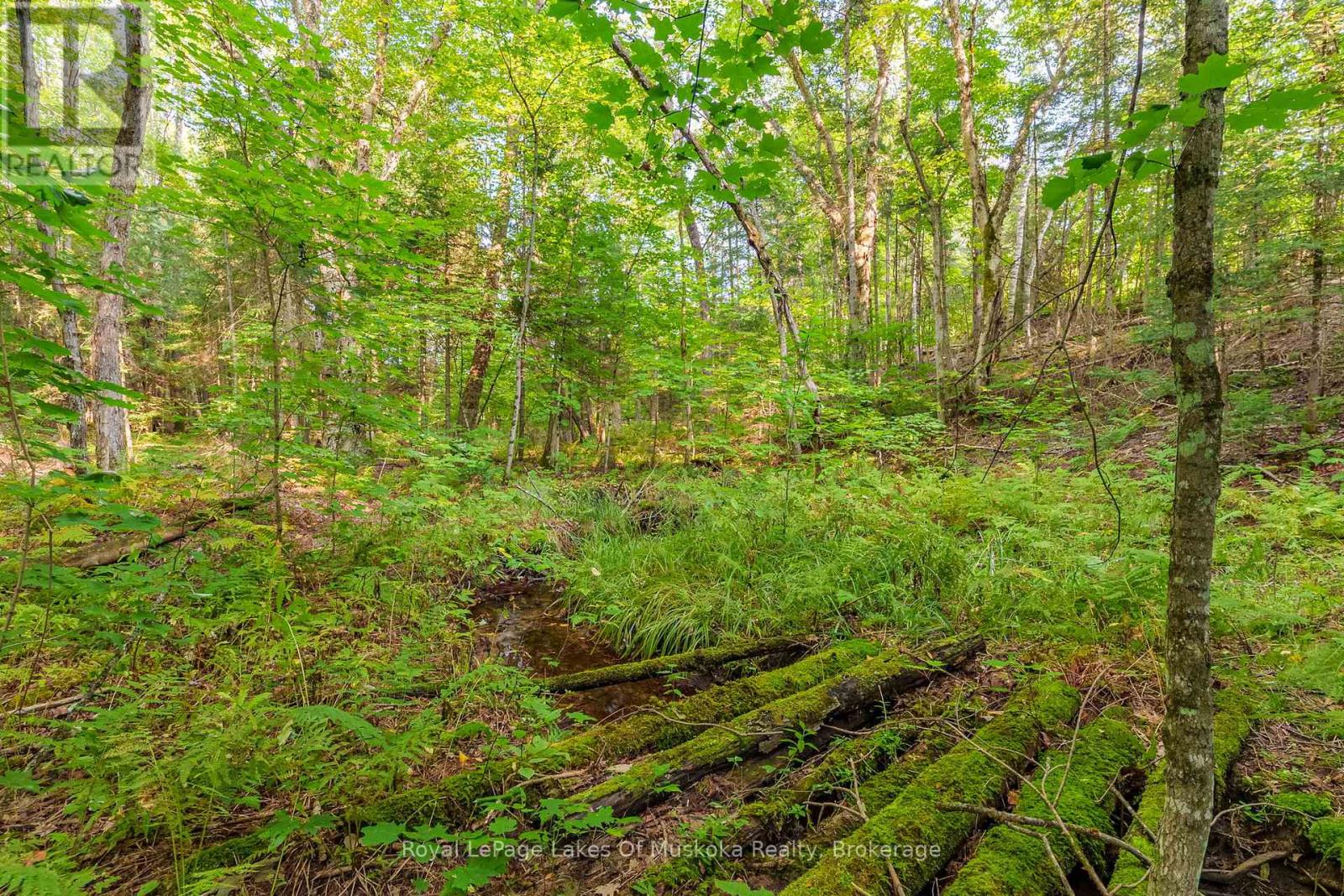 165 James Camp Road, Ryerson, Ontario  P0A 1C0 - Photo 35 - X12095655