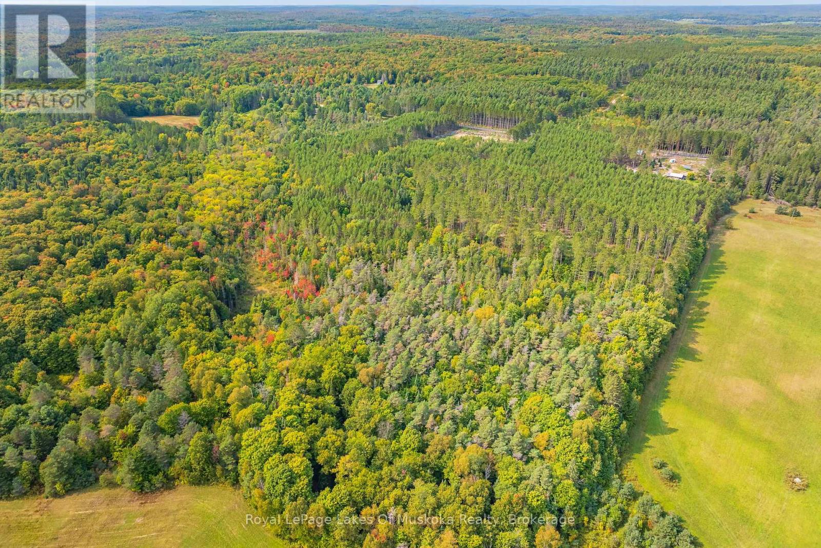 165 James Camp Road, Ryerson, Ontario  P0A 1C0 - Photo 41 - X12095655