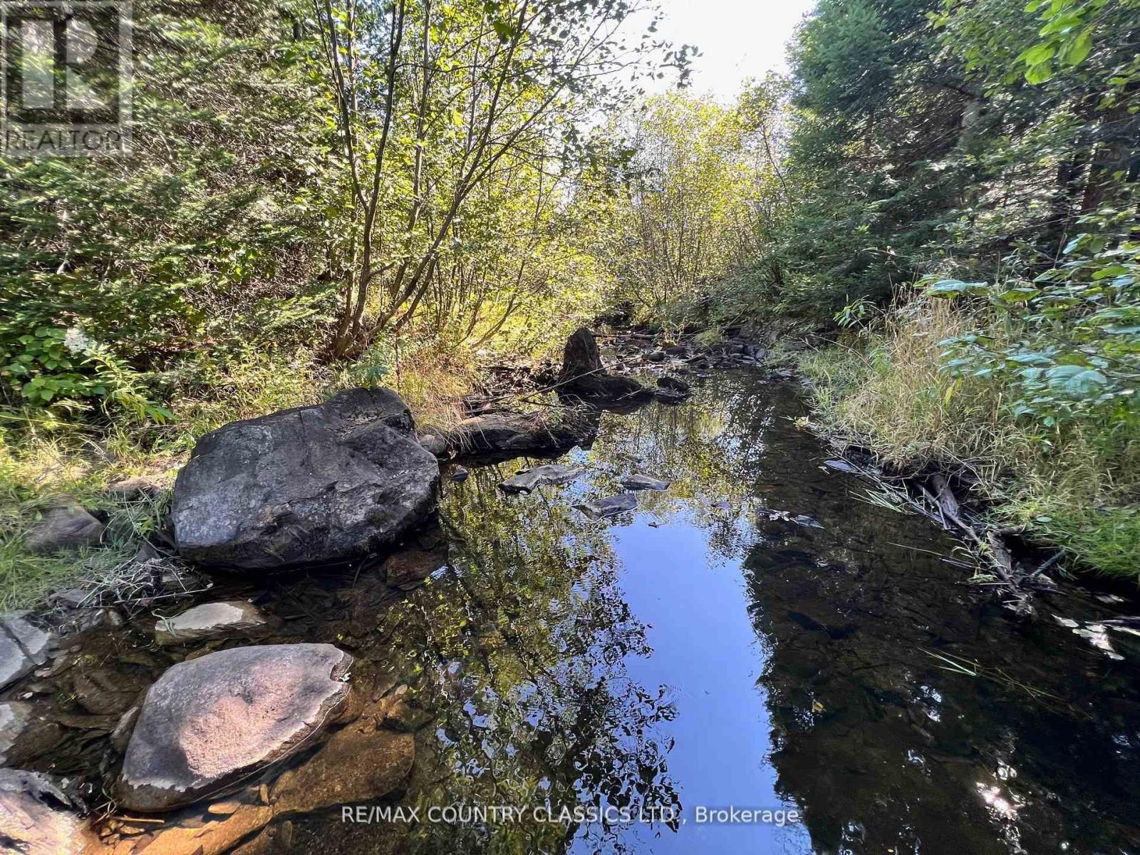 634 Lower Turriff Road, Bancroft, Ontario  K0L 2L0 - Photo 27 - X12074312