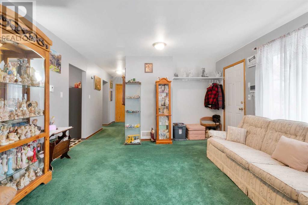 218 2 Avenue E, Youngstown, Alberta  T0J 3P0 - Photo 9 - A2189904