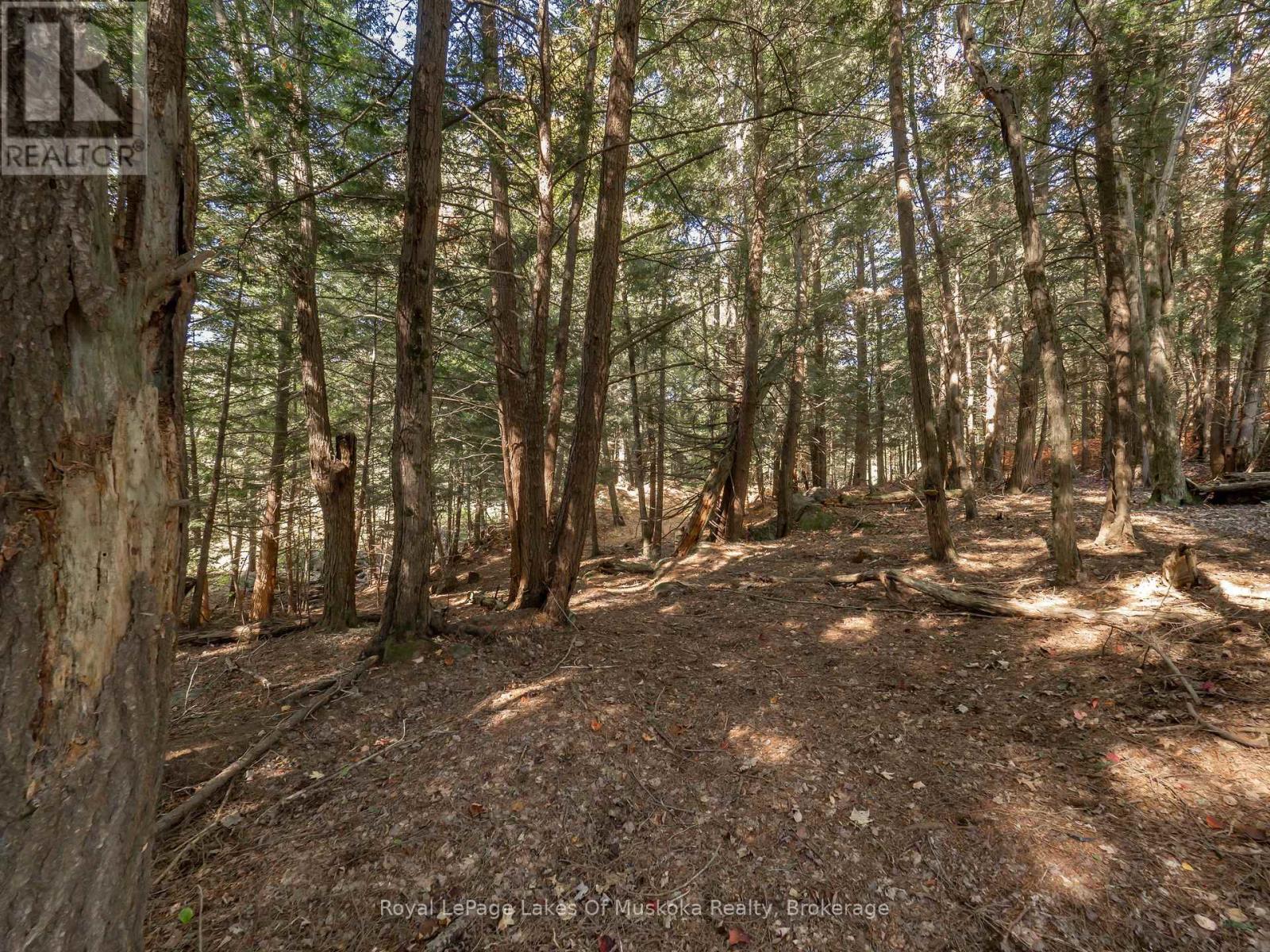 780 Manitoba Street, Bracebridge, Ontario  P1L 0K8 - Photo 26 - X11972670