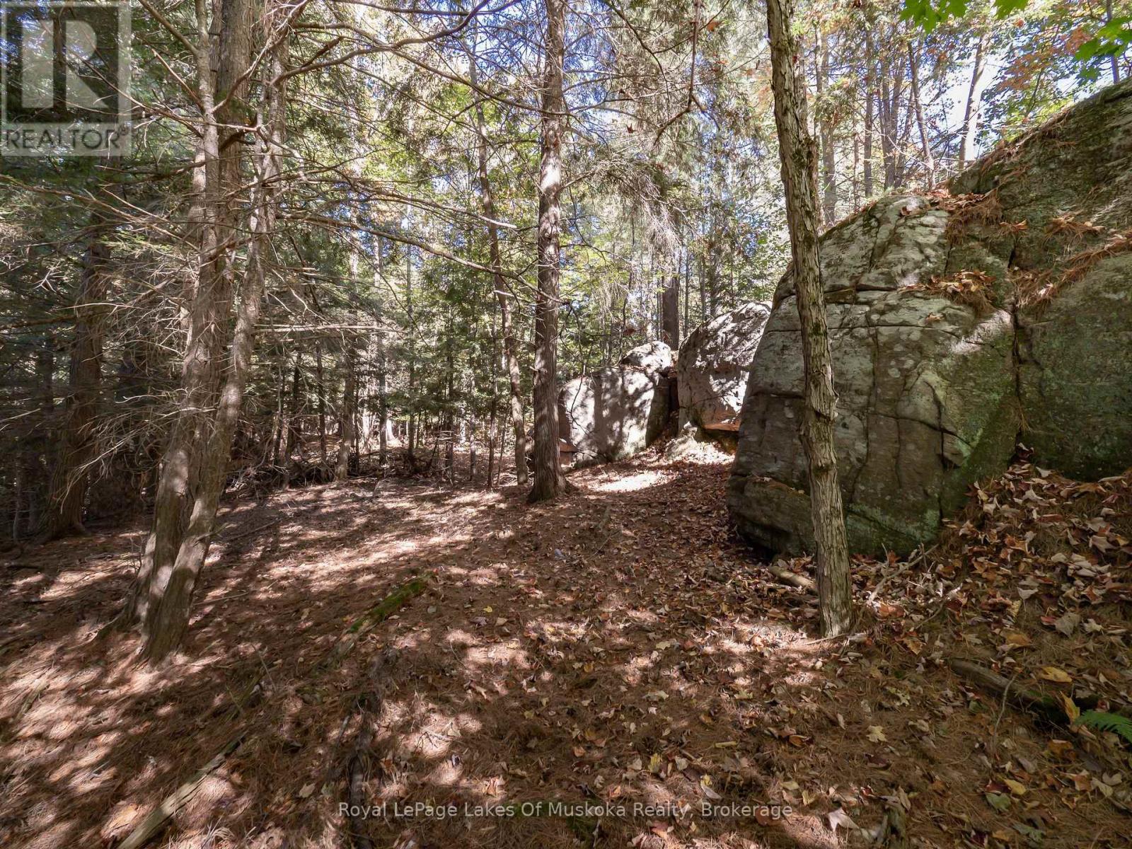 780 Manitoba Street, Bracebridge, Ontario  P1L 0K8 - Photo 28 - X11972670