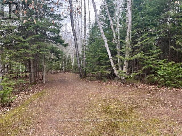 1293 Green Lake Road, Dysart Et Al, Ontario  K0M 1S0 - Photo 43 - X12095818