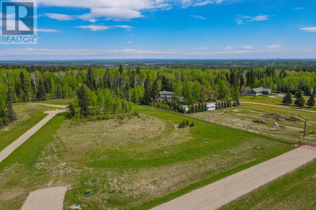 117 Fox Ridge Boulevard, Rural Clearwater County, Alberta  T4T 2A4 - Photo 19 - A2001782