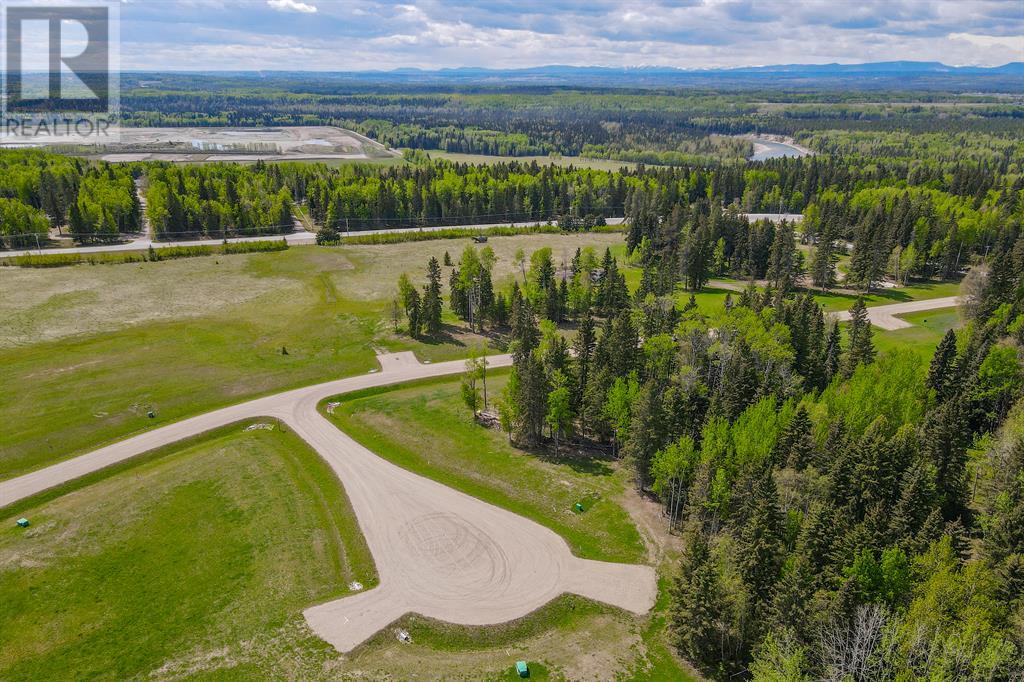 117 Fox Ridge Boulevard, Rural Clearwater County, Alberta  T4T 2A4 - Photo 22 - A2001782