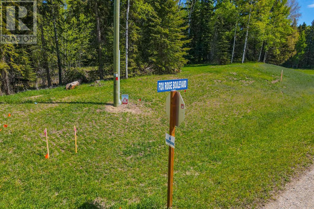 117 Fox Ridge Boulevard, Rural Clearwater County, Alberta  T4T 2A4 - Photo 3 - A2001782