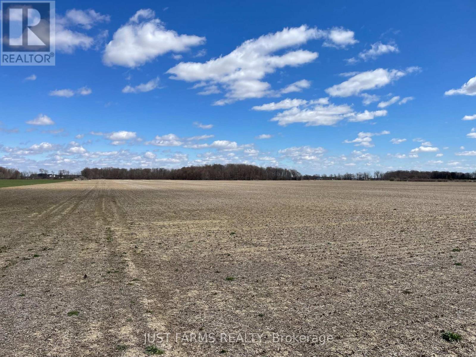 288 Mandaumin Road, Dawn-Euphemia, Ontario  N0P 2M0 - Photo 5 - X12094080