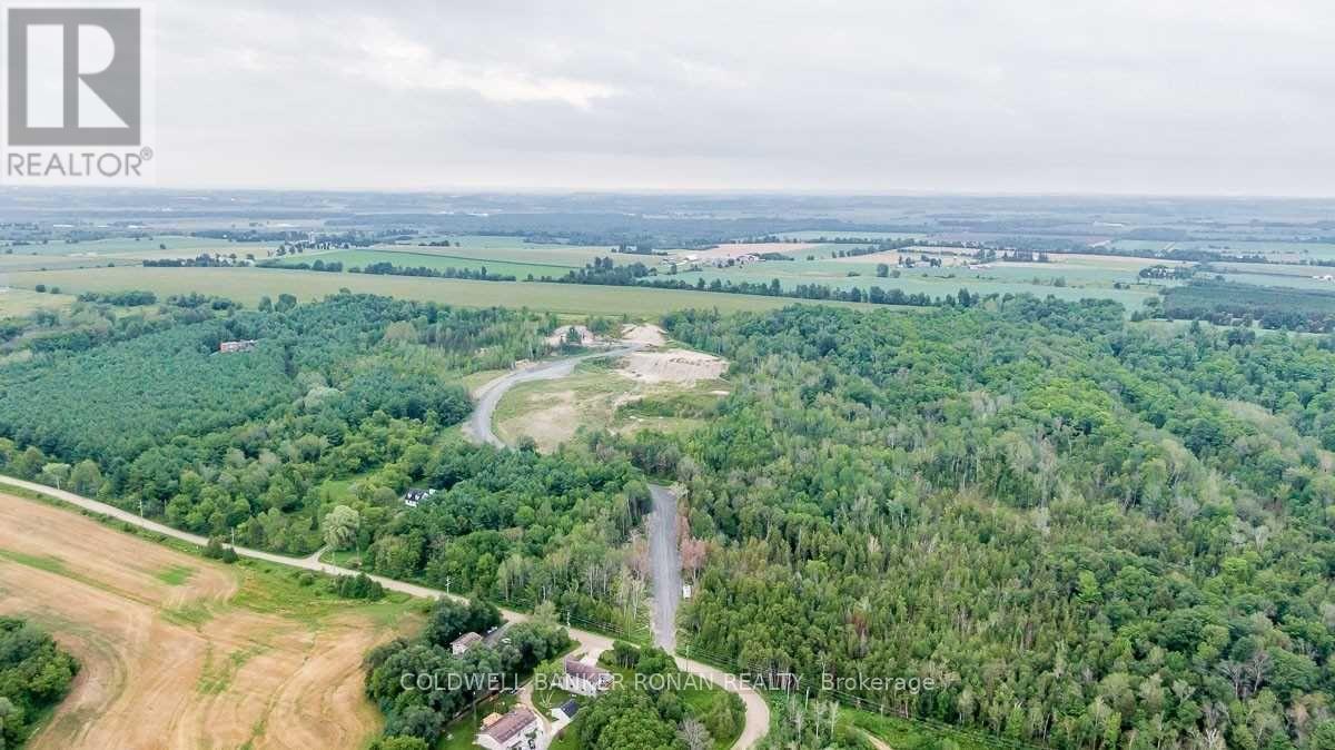 5619 Wesson Road, New Tecumseth, Ontario  L0L 1L0 - Photo 24 - N12095766