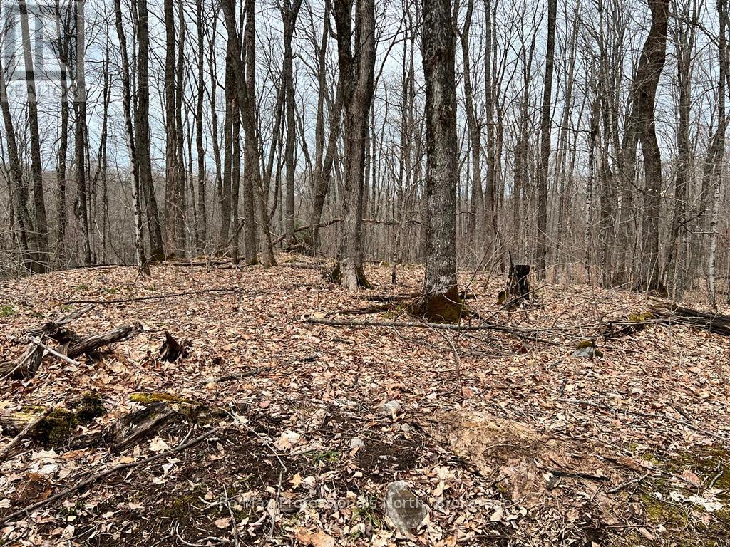 0 Salerno Lake Road, Highlands East, Ontario  K0M 1X0 - Photo 3 - X12096015