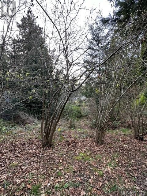 24 Captain Kidds Terr, Protection Island, British Columbia  V9R 6R1 - Photo 6 - 996073