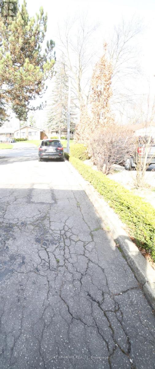 Walkout Basement - 46 Grovetree Road, Toronto (Thistletown-Beaumonde Heights), Ontario  M9V 2Y2 - Photo 13 - W12096238