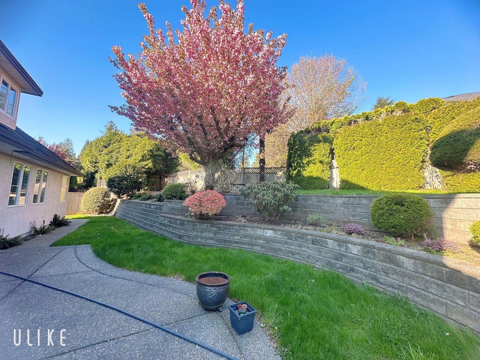 9493 163 Street, Surrey, British Columbia  V4N 3C5 - Photo 34 - R2991930