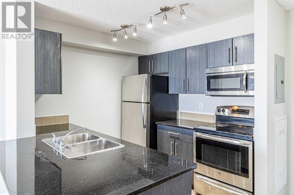 316, 5 Saddlestone Way Ne, Calgary, Alberta  T3J 0S2 - Photo 9 - A2209866