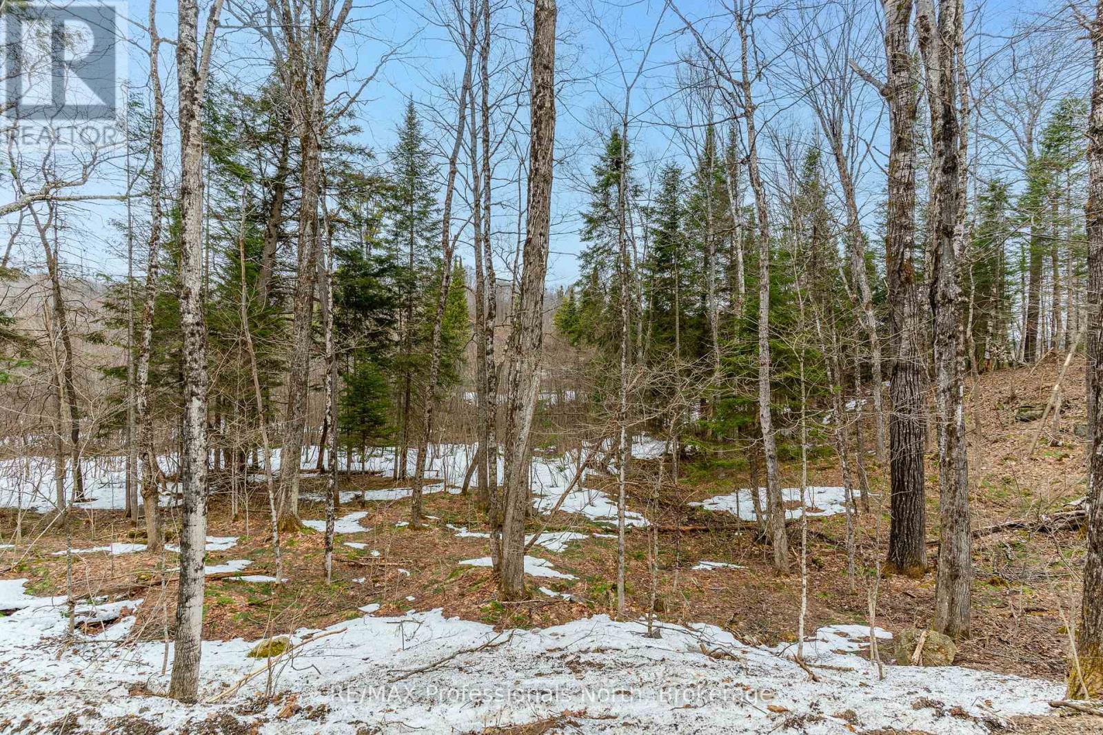 0 Ransley Road, Minden Hills, Ontario  K0M 2K0 - Photo 24 - X12096391