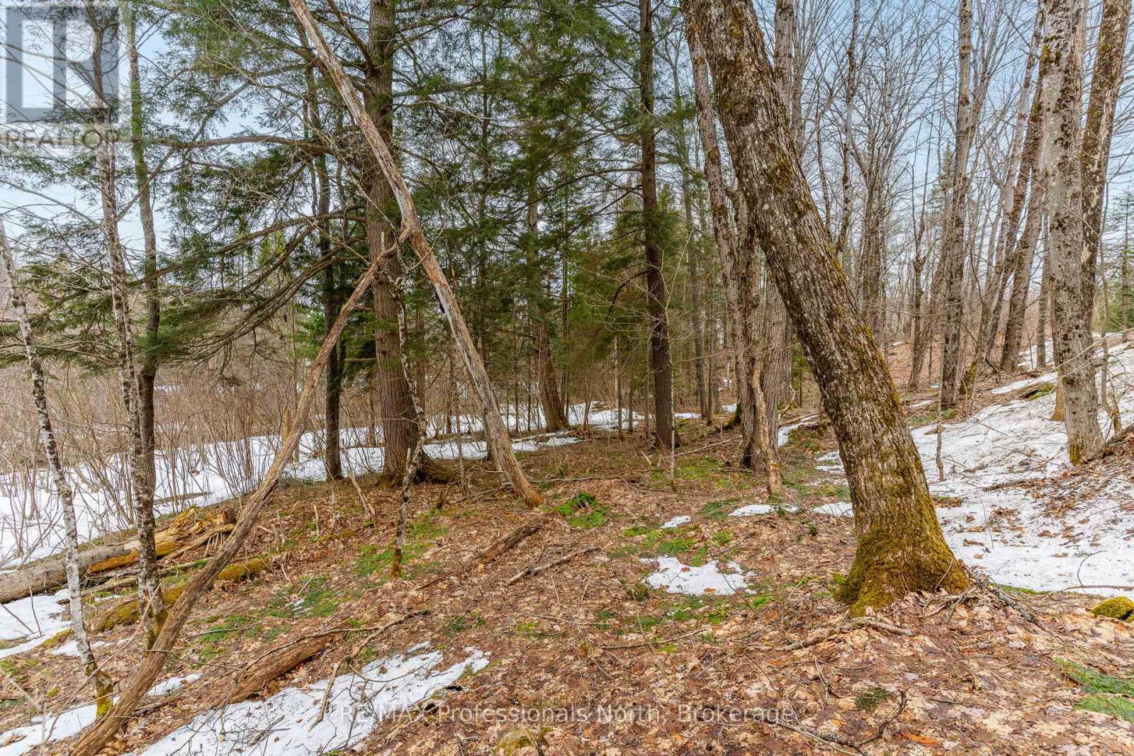 0 Ransley Road, Minden Hills, Ontario  K0M 2K0 - Photo 26 - X12096391