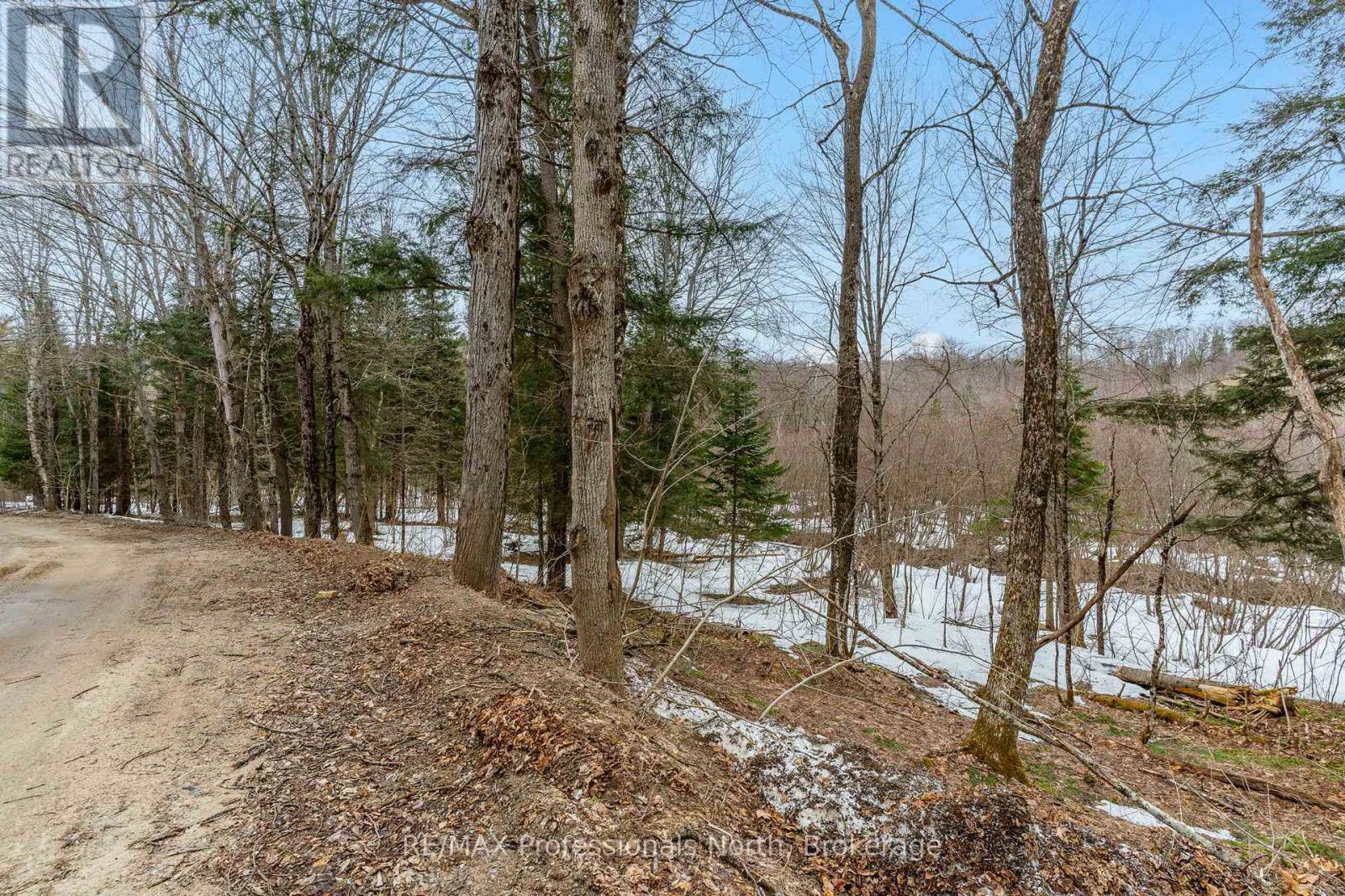 0 Ransley Road, Minden Hills, Ontario  K0M 2K0 - Photo 27 - X12096391