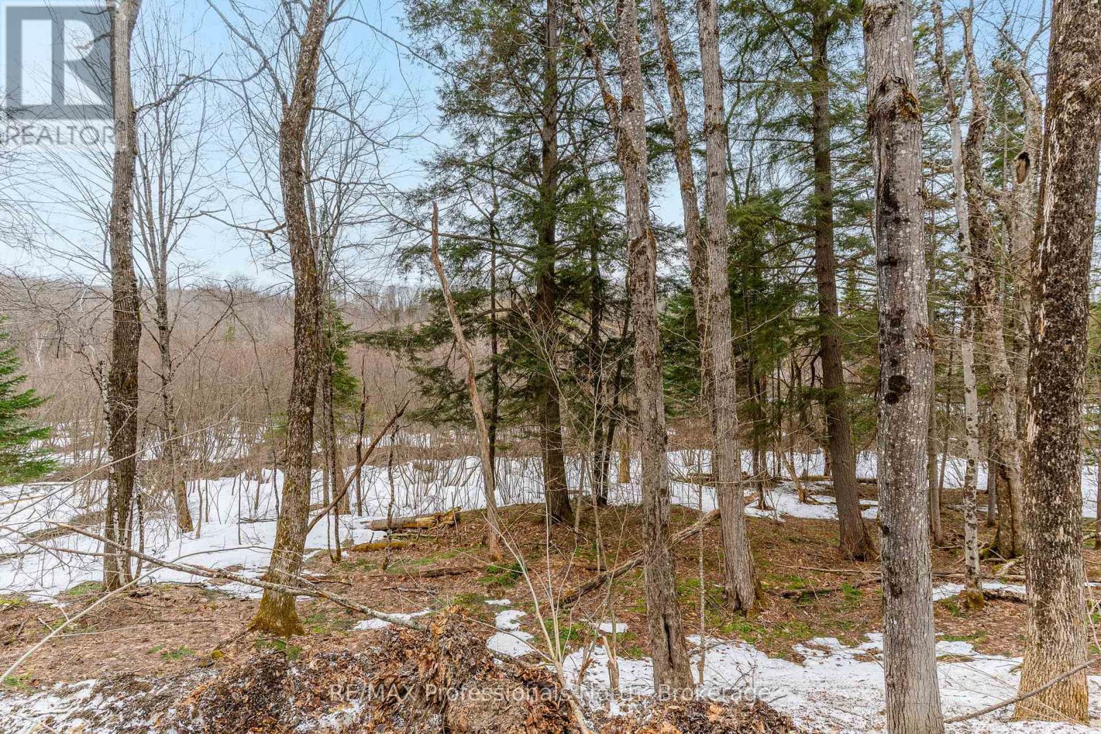 0 Ransley Road, Minden Hills, Ontario  K0M 2K0 - Photo 28 - X12096391