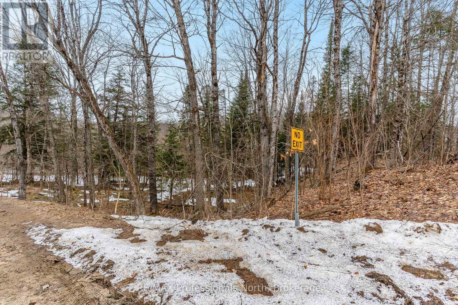 0 Ransley Road, Minden Hills, Ontario  K0M 2K0 - Photo 29 - X12096391