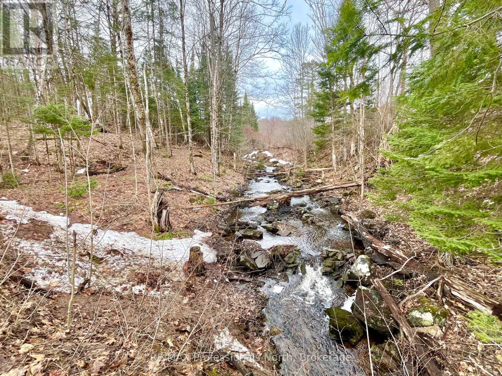 0 Ransley Road, Minden Hills, Ontario  K0M 2K0 - Photo 35 - X12096391