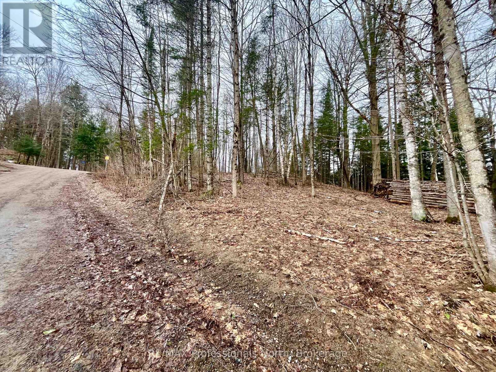0 Ransley Road, Minden Hills, Ontario  K0M 2K0 - Photo 8 - X12096391