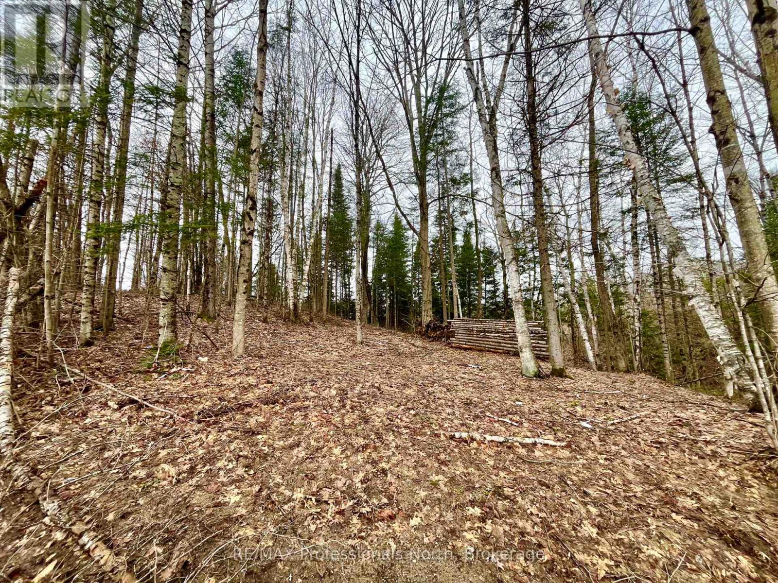 0 Ransley Road, Minden Hills, Ontario  K0M 2K0 - Photo 9 - X12096391