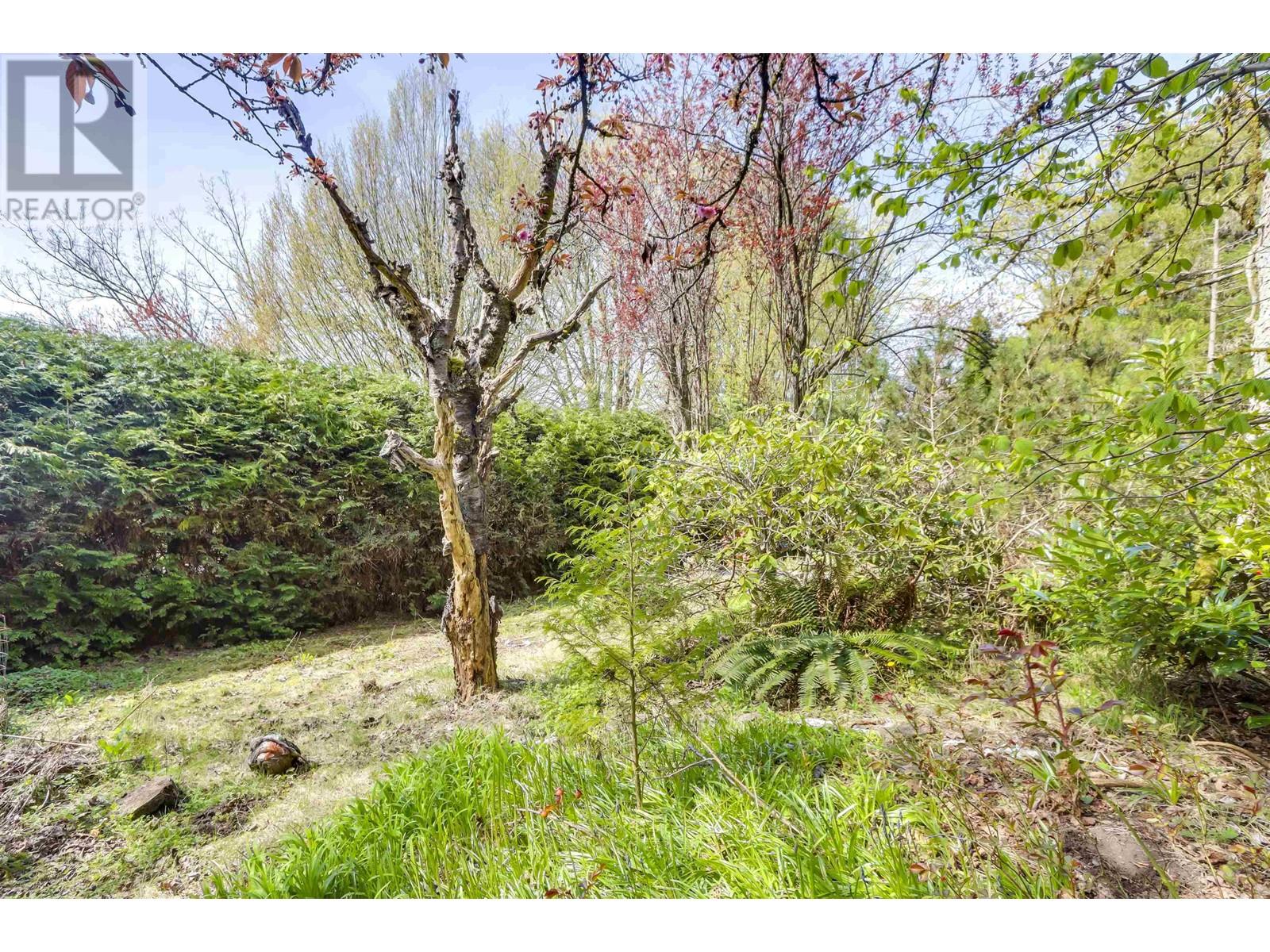 3770 Cedar Crescent, Vancouver, British Columbia  V6J 2R8 - Photo 26 - R2992502