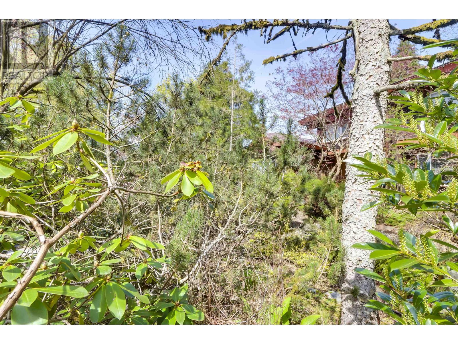 3770 Cedar Crescent, Vancouver, British Columbia  V6J 2R8 - Photo 27 - R2992502