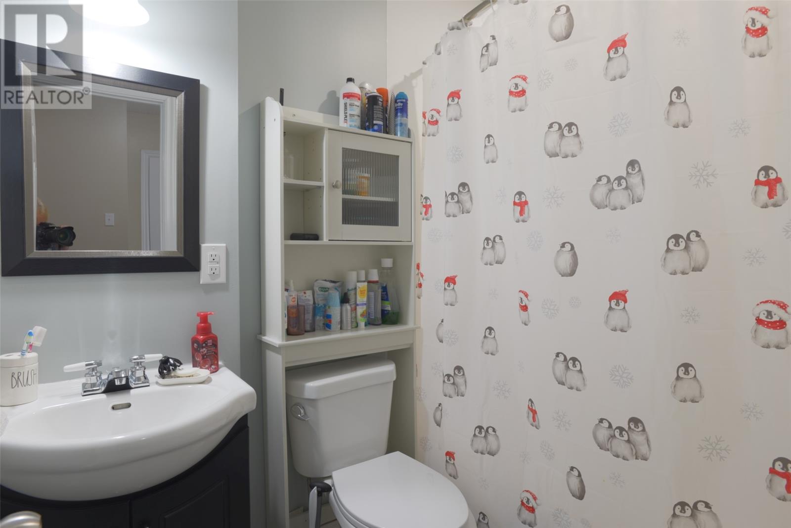 3 Jubilee Place, Mount Pearl, Newfoundland & Labrador  A1N 2X2 - Photo 26 - 1284018