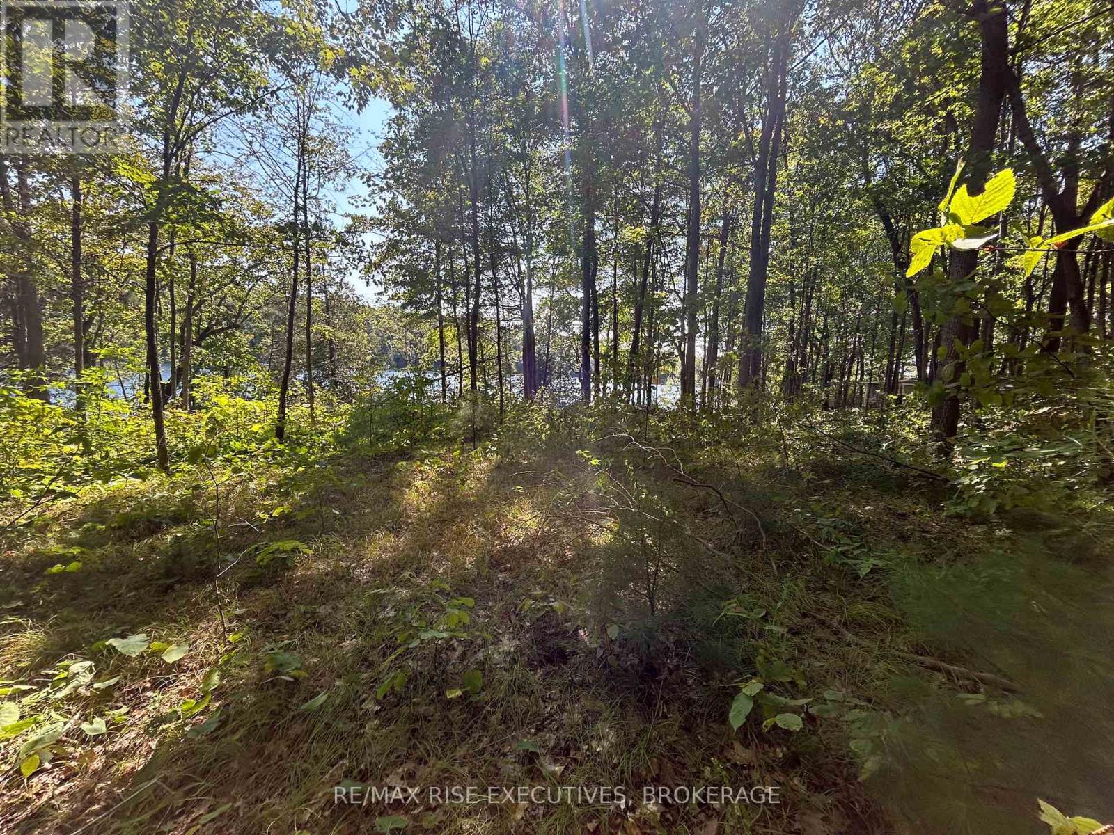 341 Steve Babcock Lane, Frontenac (Frontenac South), Ontario  K0H 1W0 - Photo 16 - X12096712