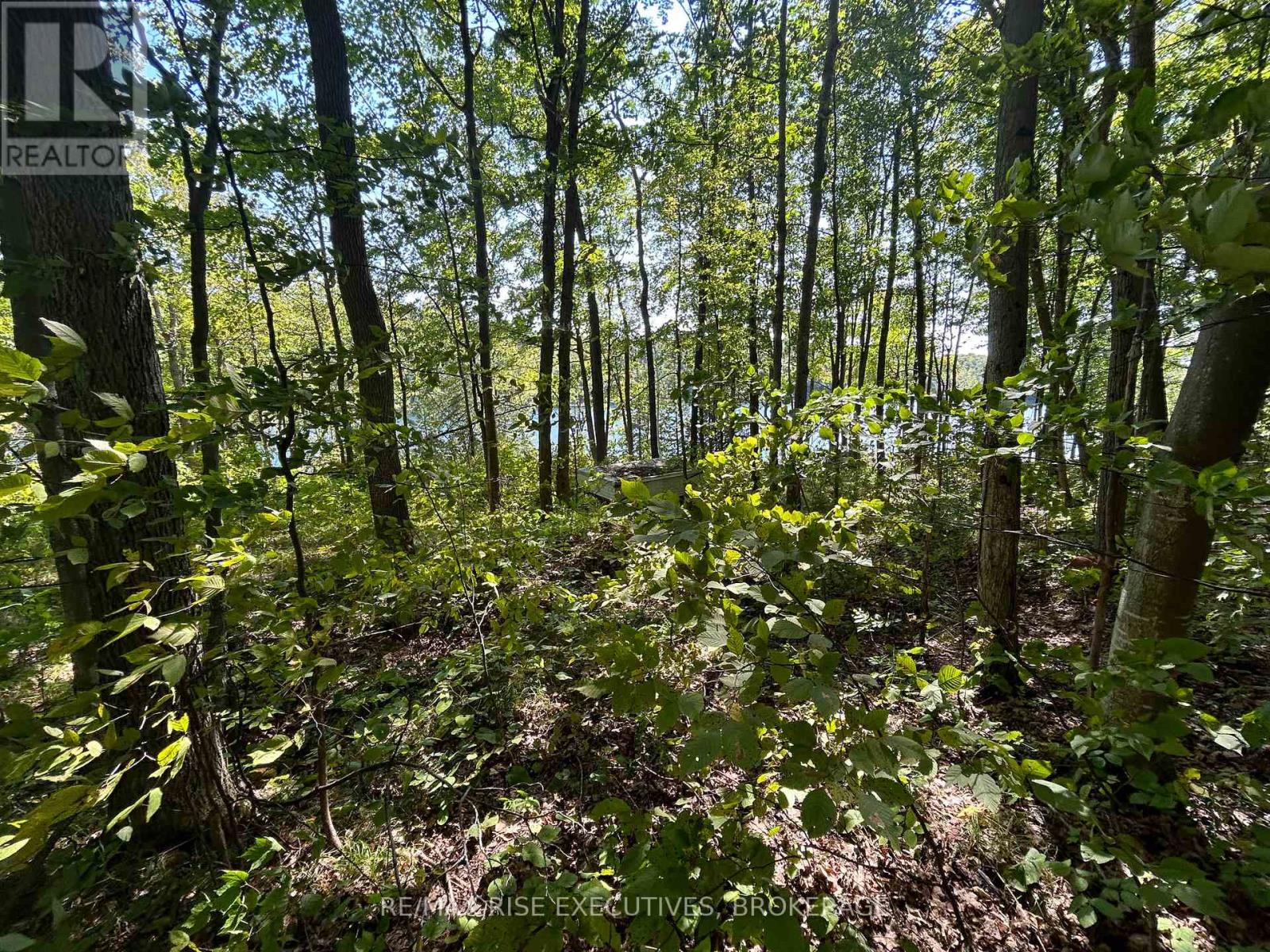 341 Steve Babcock Lane, Frontenac (Frontenac South), Ontario  K0H 1W0 - Photo 17 - X12096712