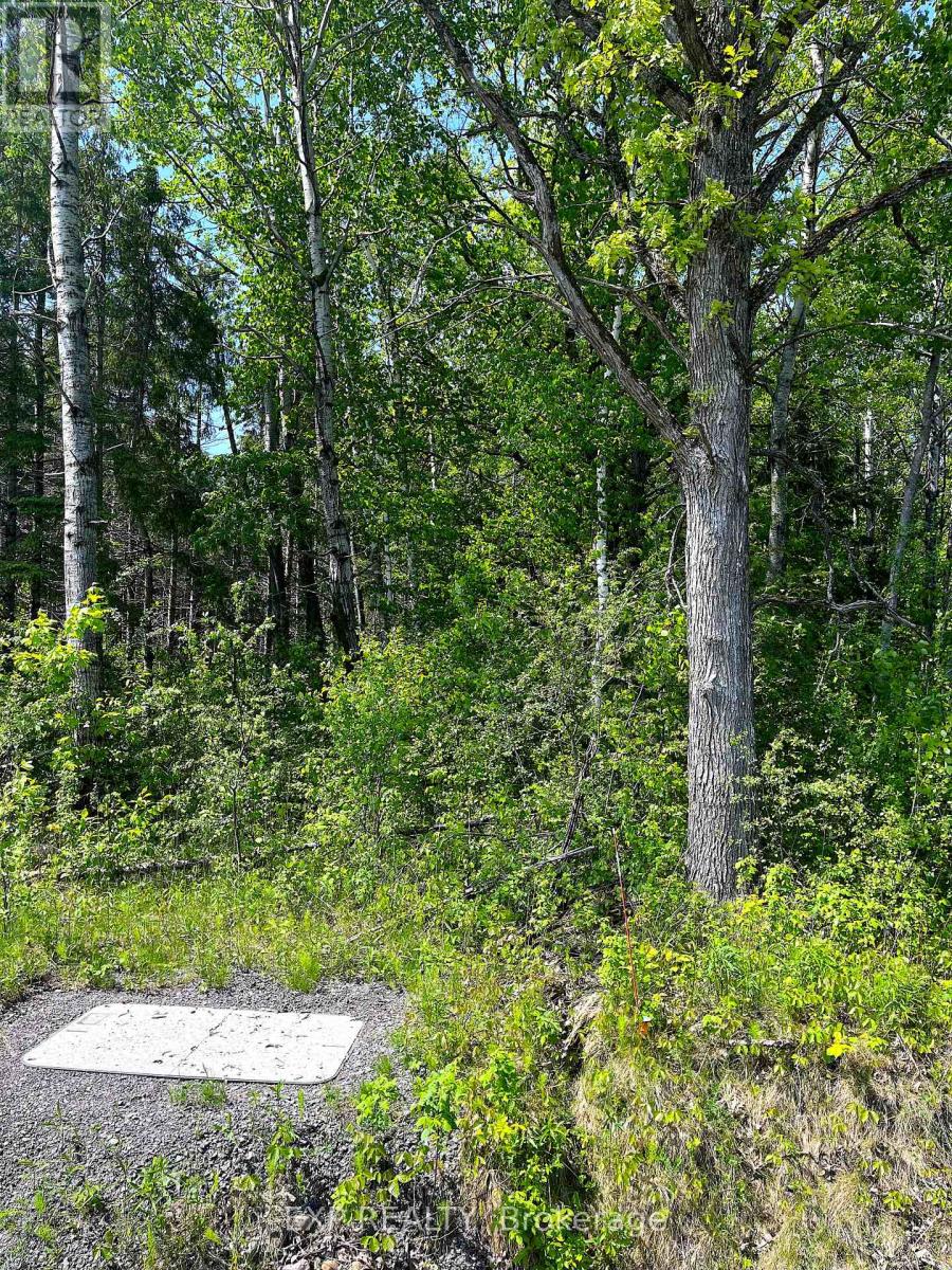 00 Johnston Road W, Horton, Ontario  K7V 3Z8 - Photo 4 - X12096688