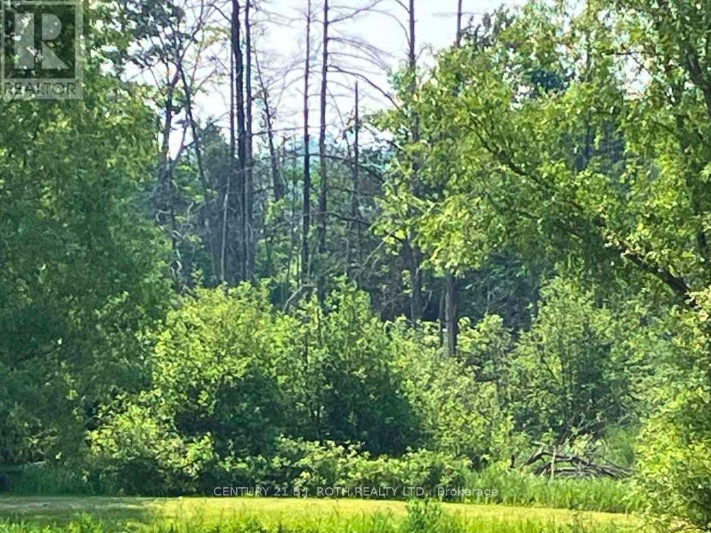 2925 Old Barrie Road E, Orillia, Ontario  L3V 6H1 - Photo 13 - S9392226