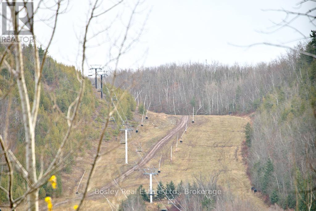 133 Sebastien Street, Blue Mountains, Ontario  N0H 1J0 - Photo 10 - X12096821