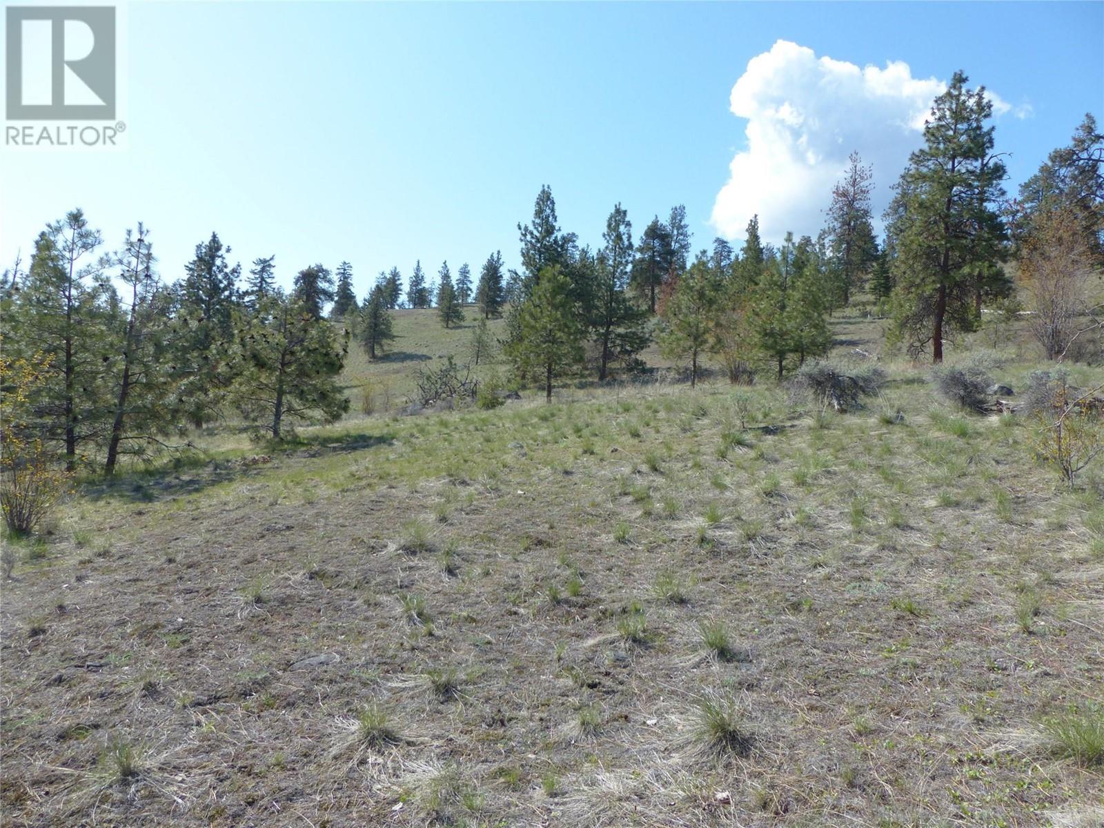 8900 Gilman Road, Summerland, British Columbia  V0H 1Z2 - Photo 17 - 10333956