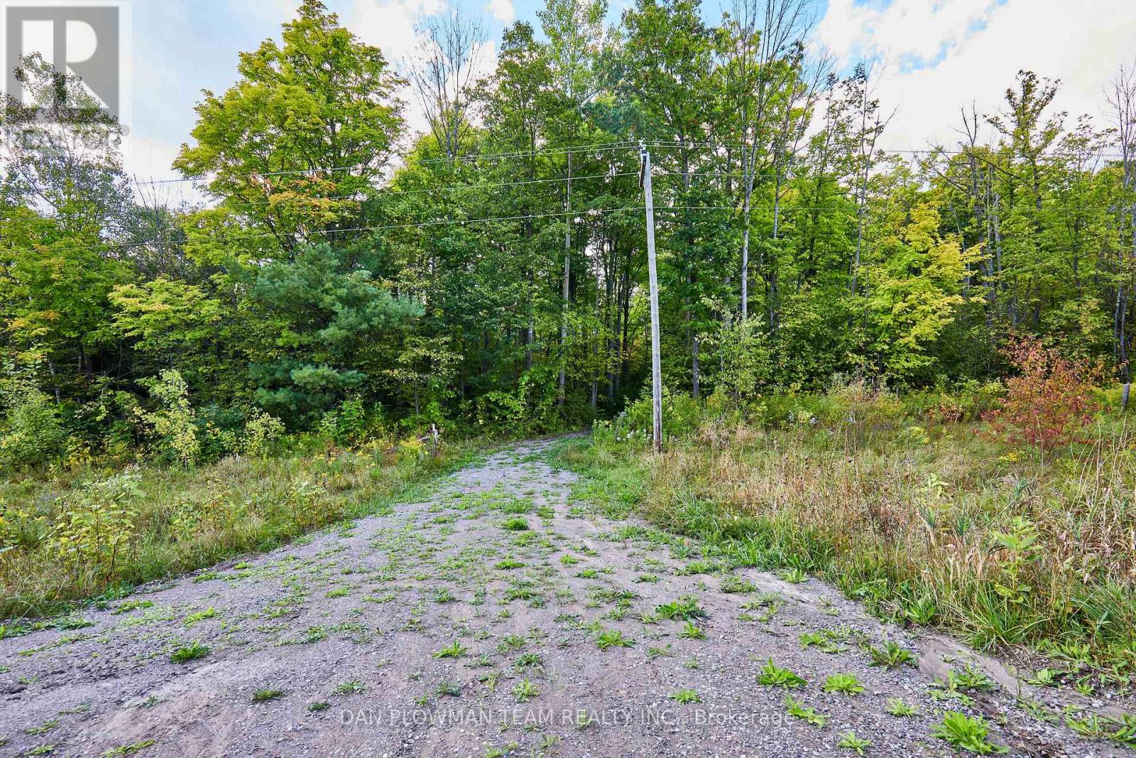 Part 2 County Rd 45, Trent Hills, Ontario  K0L 1Y0 - Photo 5 - X12096928