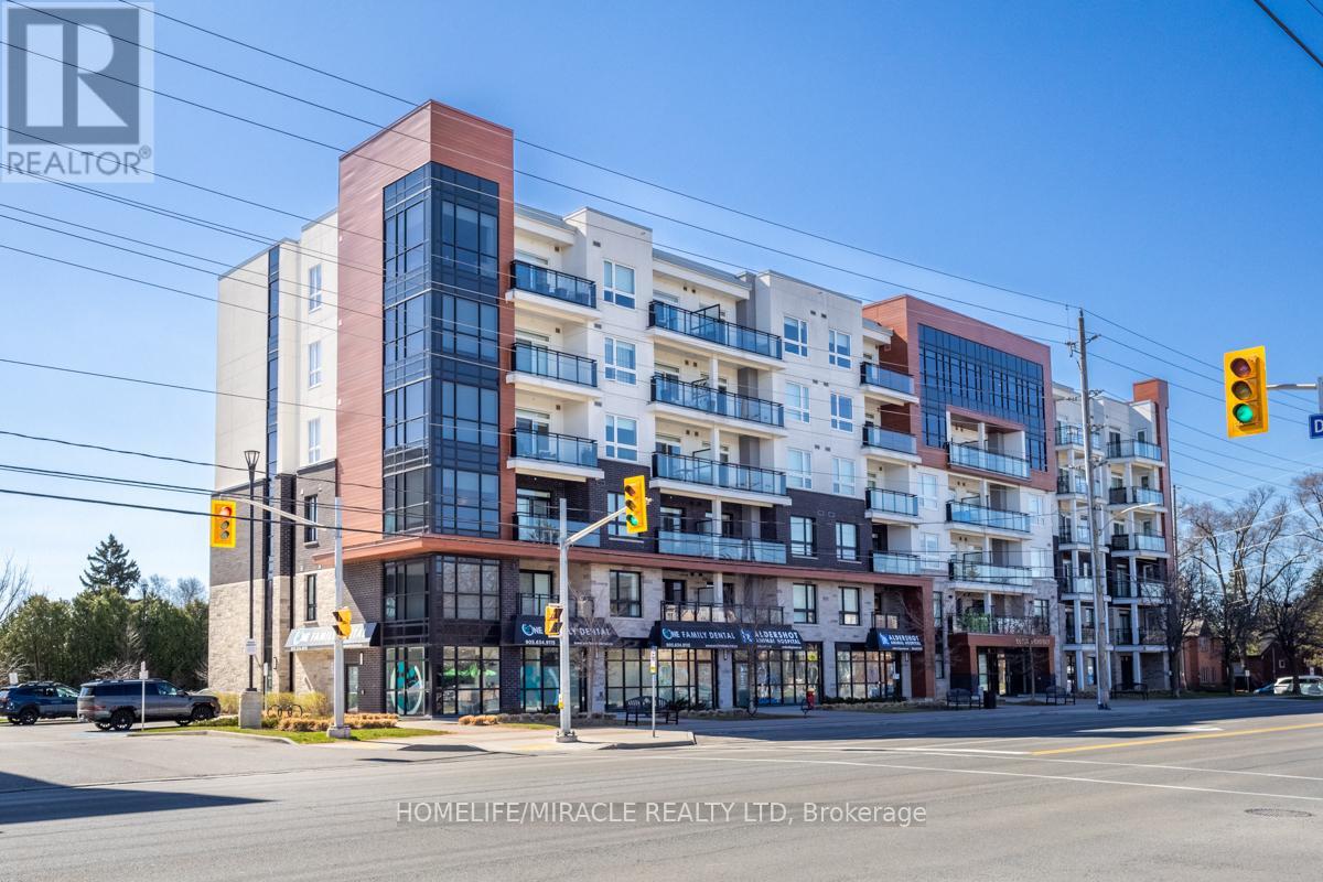204 - 320 Plains Road E, Burlington, Ontario  L7T 0C1 - Photo 3 - W12095589