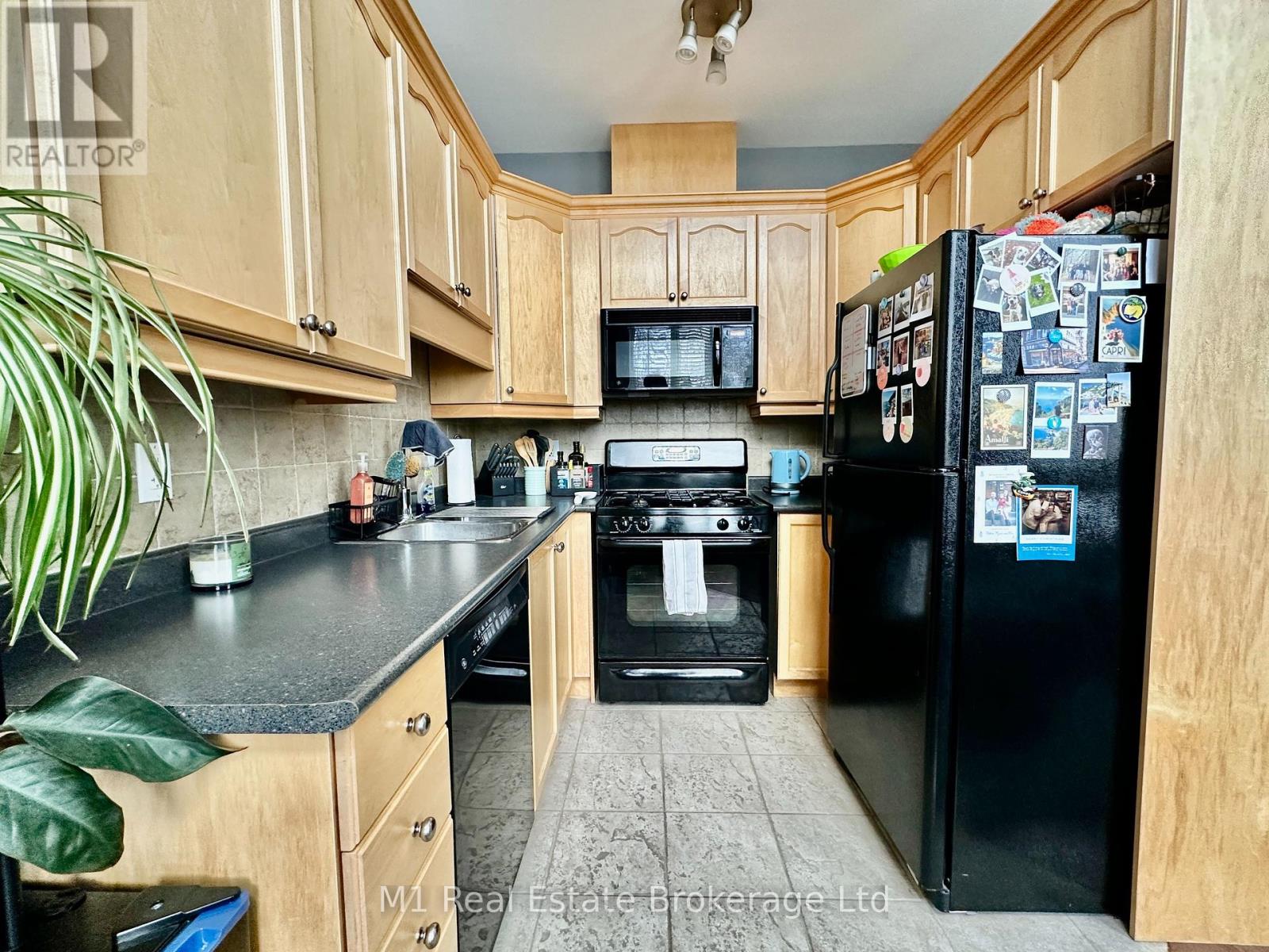309 - 555 King Street E, Kitchener, Ontario  N2G 2L9 - Photo 6 - X12097033