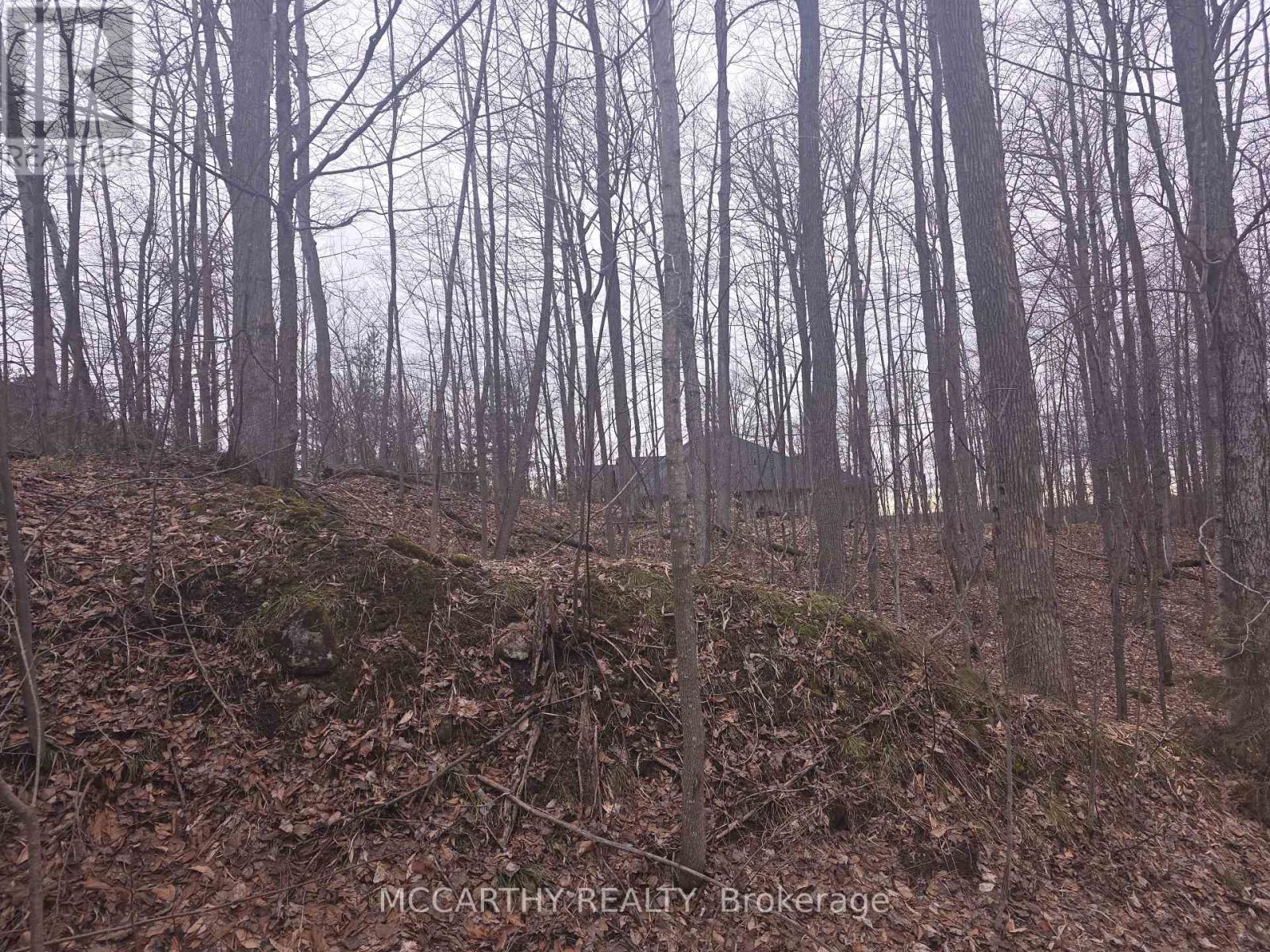 Lot  9 Pt Lt 25, Con Rd 8, West Grey, Ontario  N0C 1H0 - Photo 19 - X12059749