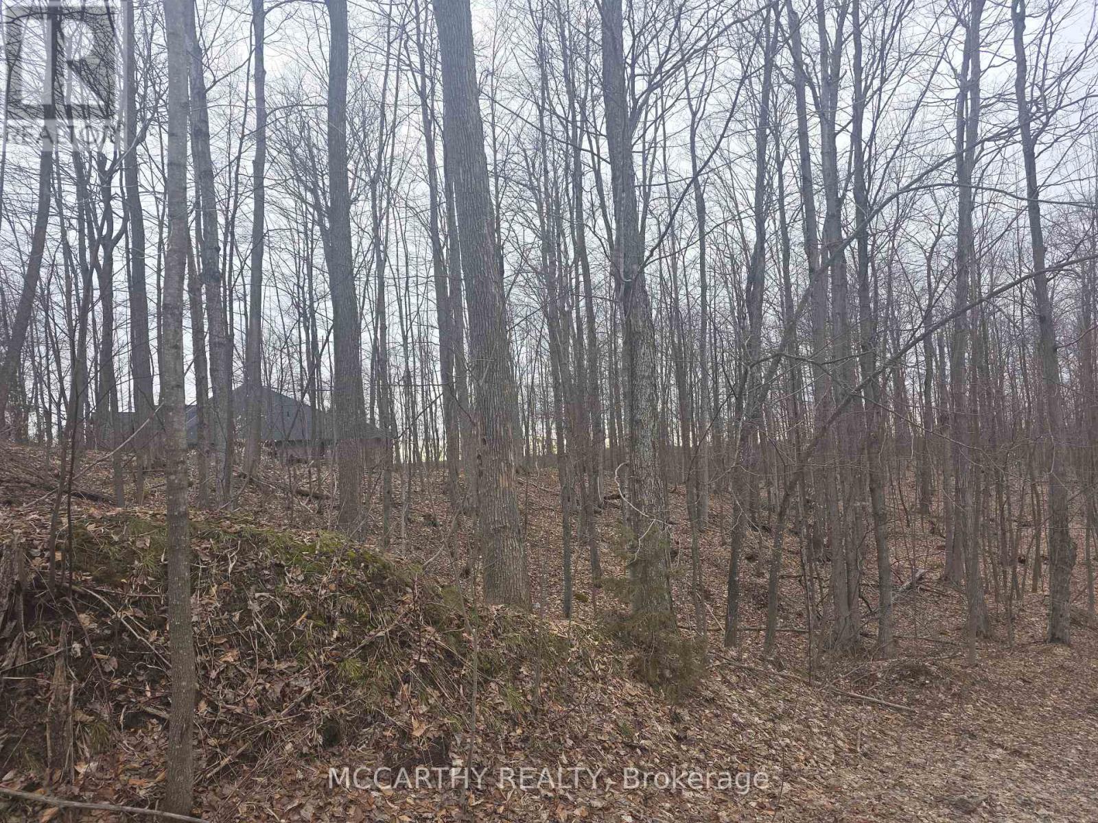 Lot  9 Pt Lt 25, Con Rd 8, West Grey, Ontario  N0C 1H0 - Photo 20 - X12059749