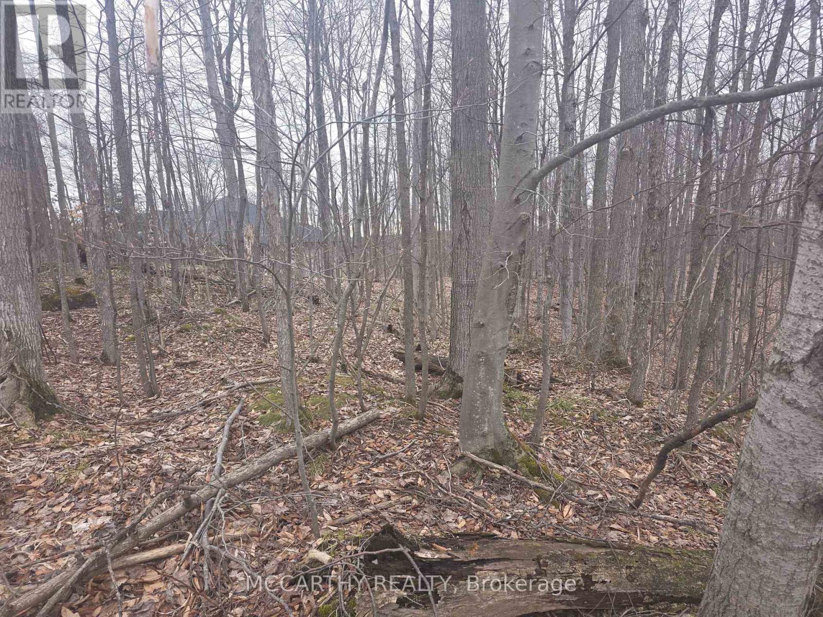 Lot  9 Pt Lt 25, Con Rd 8, West Grey, Ontario  N0C 1H0 - Photo 23 - X12059749