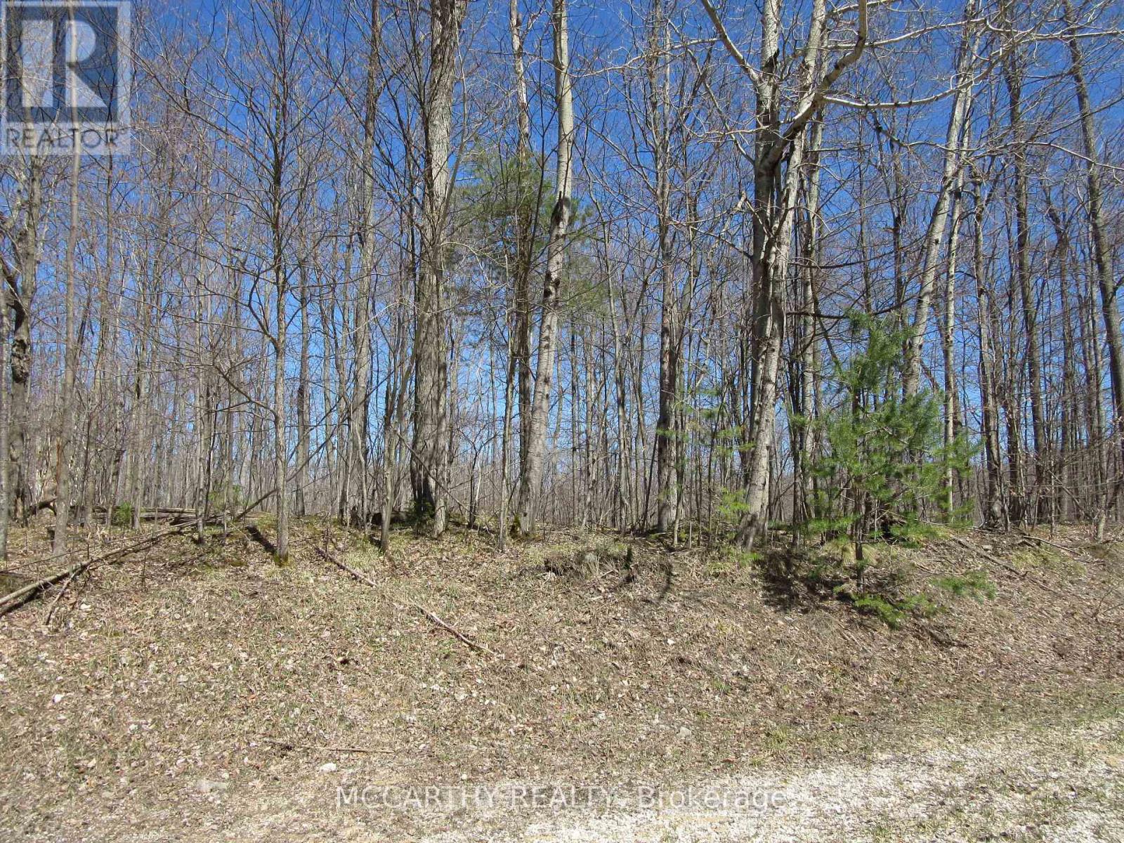 Lot  9 Pt Lt 25, Con Rd 8, West Grey, Ontario  N0C 1H0 - Photo 15 - X12059749