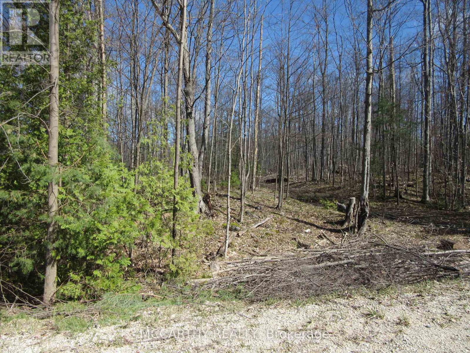 Lot  9 Pt Lt 25, Con Rd 8, West Grey, Ontario  N0C 1H0 - Photo 4 - X12059749