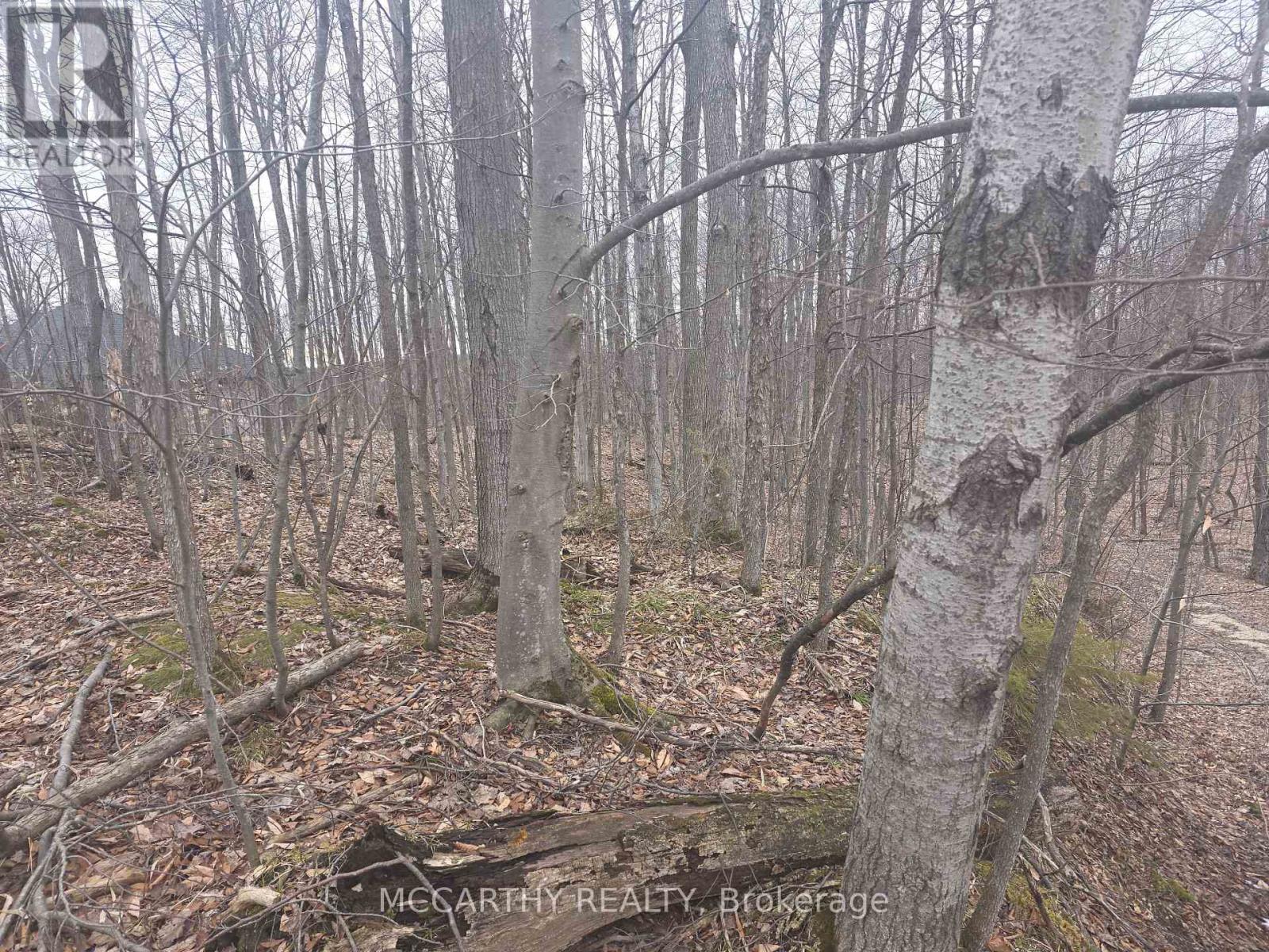 Lot  9 Pt Lt 25, Con Rd 8, West Grey, Ontario  N0C 1H0 - Photo 24 - X12059749
