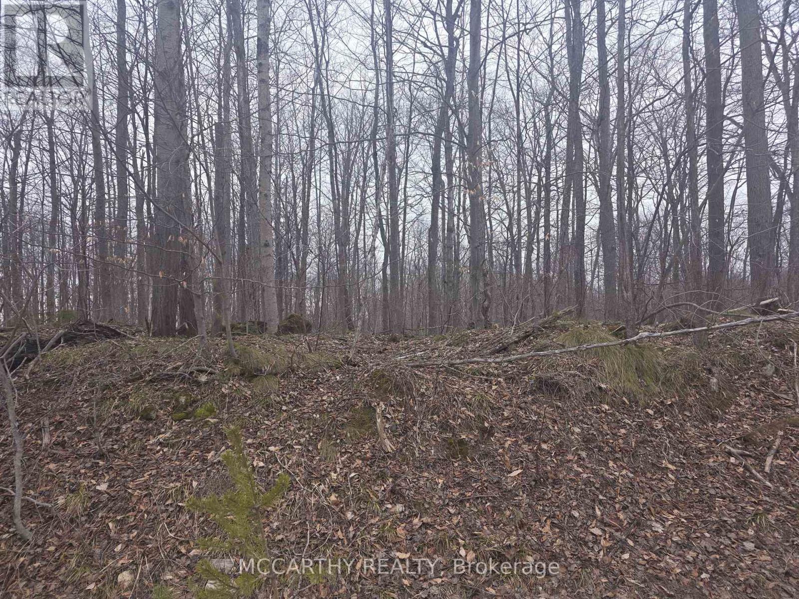 Lot  9 Pt Lt 25, Con Rd 8, West Grey, Ontario  N0C 1H0 - Photo 16 - X12059749