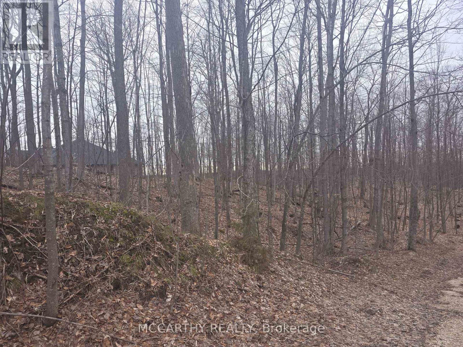 Lot  9 Pt Lt 25, Con Rd 8, West Grey, Ontario  N0C 1H0 - Photo 18 - X12059749